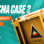 Everything you need to know about Prisma 2 case