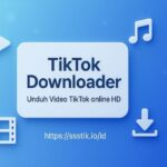 Cara Cepat Download Video TikTok Tanpa Watermark > Contoh Blog