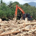 Anak Purbaya Sebut Penggundulan Hutan di Sumatera Gara-gara PT TPL: Tau Kan Punya Siapa?