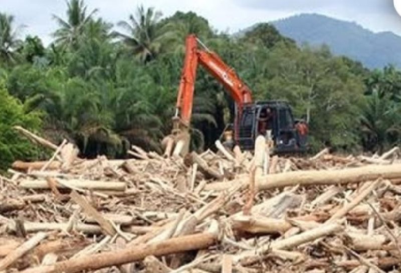 Anak Purbaya Sebut Penggundulan Hutan di Sumatera Gara-gara PT TPL: Tau Kan Punya Siapa?