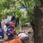 Mobil Diduga Milik Anggota DPRD Sulsel Kecelakaan di Tol Reformasi, Satu Tewas